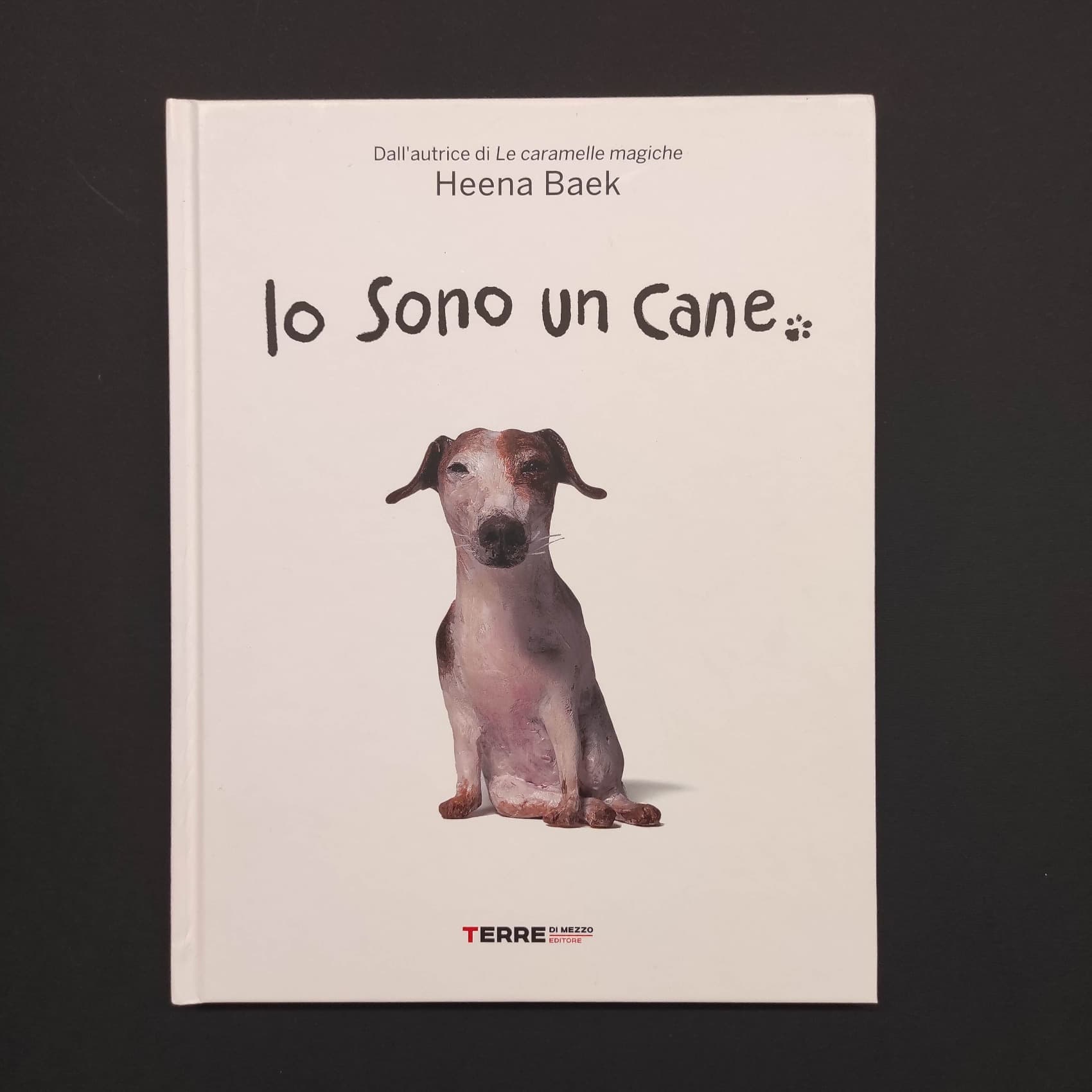 Io sono un cane - La Casa sull'Albero